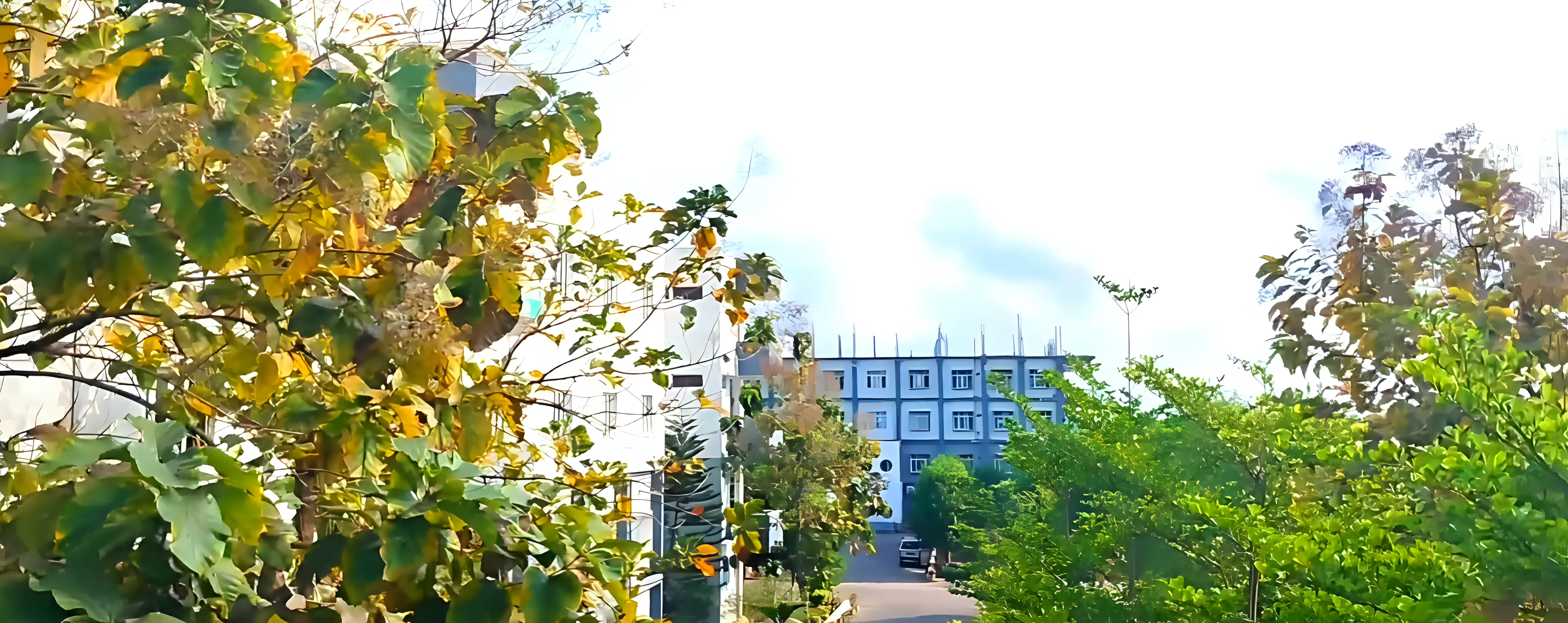 NRIIT Campus photo 2